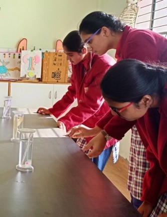 Lab Image 1